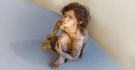 Photo by Wolfgang Sauber CCBY SA 4.0 Human Giant, Ancient Artifacts Prehistoric, Random Reference, Human Fossils, Facial Reconstruction, Prehistoric Age, Prehistoric Man, Fossil Bones, Oldest Human