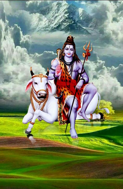 Bal Krishna Video, Shankar Ji, Krishna Video, Devon Ke Dev Mahadev, Krishna Gif, Shiv Shankar, Love Mom Quotes, Ganesh Photo, Shiva Hd Wallpaper