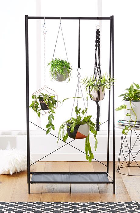 Trans-seasonal Plants Hanging, Vertical Garden Design, Support Pour Plante, Space Space, Hanging Plants Indoor, Garment Rack, Vertical Gardens, Indoor Gardens, Plant Stand Indoor