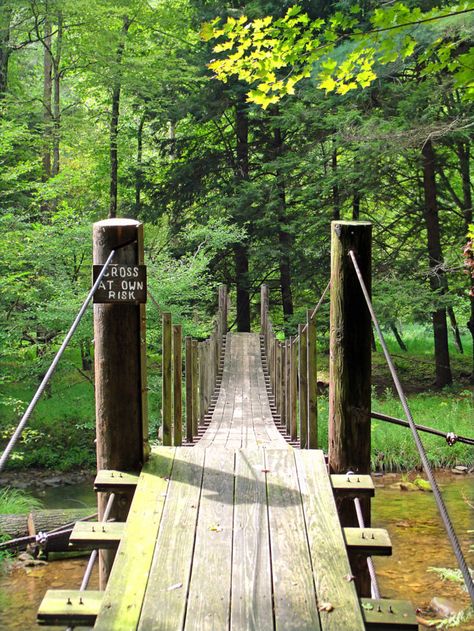 During your 10 mile loop hike into and out of the wild area, cross the picturesque footbridge that passes over Hammersley Fork... Camping In Pennsylvania, Hiking Places, Pennsylvania Travel, Camping Locations, On The Road Again, Off The Grid, Weekend Trips, Travel Bucket, Vacation Spots