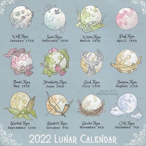 Water Of Whimsy, Full Moon Calendar, Moon Facts, Citate Harry Potter, Moon Names, Whimsy Art, Wiccan Magic, Moon Calendar, Witch Spell Book