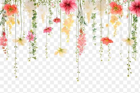 Daaman Designs, Discord Aesthetic, Flowers Hanging, Watercolour Flower, Spring Yellow, Islamic Wallpaper Iphone, Wedding Elements, Poster Background, Poster Background Design