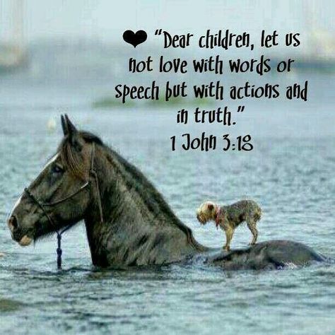 Actions speak louder than words! Kids Bible Verses, Woord Van God, Quotes Family, Bible Verses For Kids, Kids Bible, John 5, John 3, Biblical Quotes, Bible For Kids