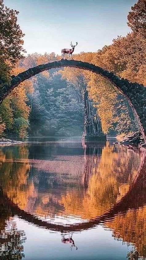 Train Ride Aesthetic, Ride Aesthetic, Old Bridges, Travel Photography Nature, Famous Bridges, Belle Nature, Image Nature, Scenery Pictures, Bryce Canyon National Park