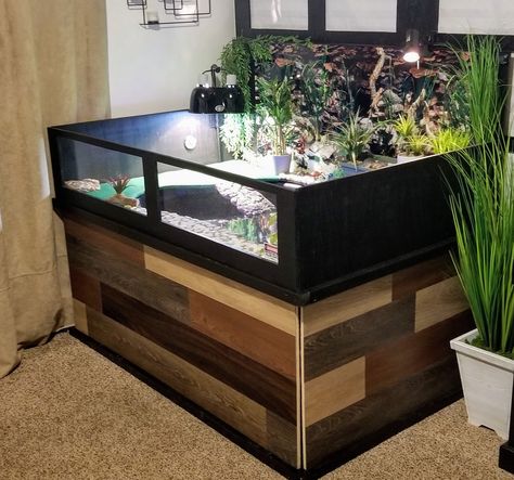 I built a custom pond in my house for my 2 eastern painted turtles. Turtle Enclosure Indoor, Pond Ideas Minecraft, Turtle Pond Ideas, Indoor Turtle Pond, Pond Build, Aquatic Turtle Tank, Painted Turtles, Turtle Enclosure, Turtle Table