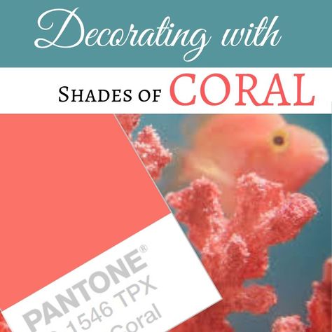 Decorating with shades of coral Coral Colored Bedrooms, Coral And Blue Living Room, Coral Kitchen Walls, Coral Decorating Ideas, Decorating With Coral, Coral Painted Furniture, Coral Dresser, Coral Color Palette, Coral Bathroom Decor