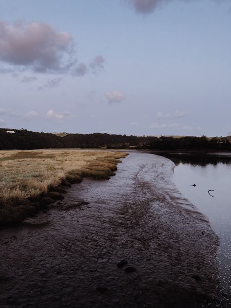 The Essex Serpent Aesthetic, Marshland Aesthetic, Lock Gcse, The Essex Serpent, Essex Serpent, Mystical Landscapes, Cup Inspiration, Goth Dark Academia, Gcse Photography