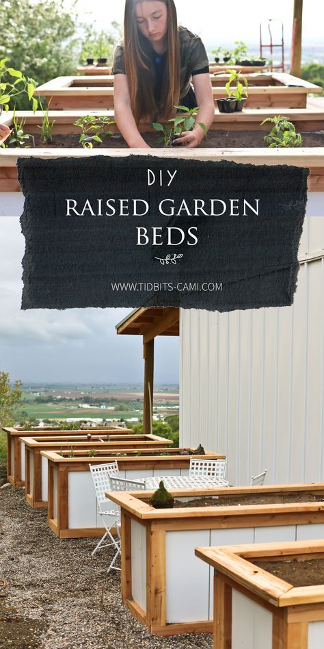 How to make DIY tall raised garden beds. Here we'll walk you through our process for building these raised garden beds. They actually come together pretty easily! Make Raised Garden Beds, High Raised Garden Beds, Making Raised Garden Beds, Tall Raised Garden Beds, Diy Raised Garden Beds, Above Ground Garden, Garden Bed Layout, Diy Gardening Ideas, Cedar Raised Garden Beds