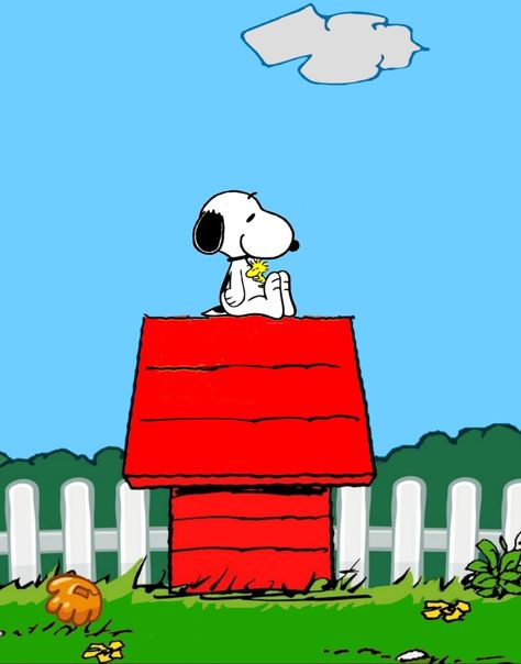 Snoopy On Doghouse, Snoopy On House, Snoopy On His Doghouse, Snoopy Aesthetic, Peanuts Cartoon Characters, Snoopy Doghouse, Snoopy House, Senior Pants, Snoopy Classroom