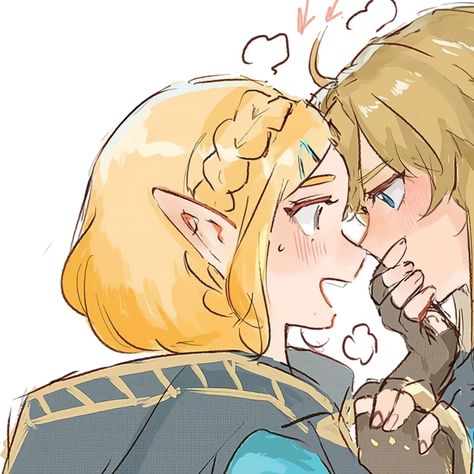 Matching Nintendo Pfps, Zelda Link Matching Icons, Link And Zelda Matching Pfps, Zelink Matching Icons, Video Game Matching Pfp, Castlevania Matching Pfp, Link Matching Pfp, Link Icon Zelda, Zelda And Link Matching Pfp