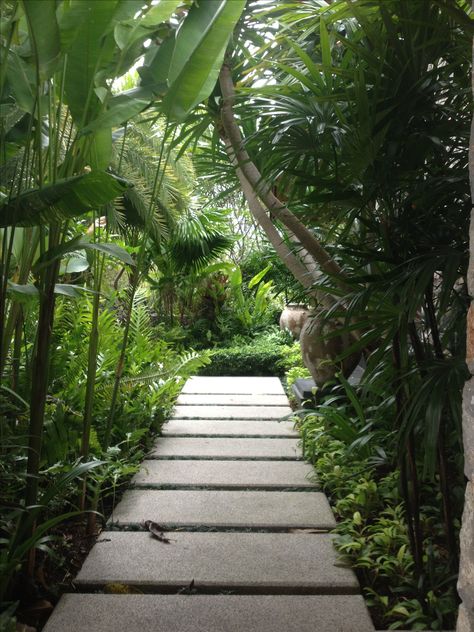 Gorgeous thailand villa tropical garden Thailand Garden Ideas, Tropical Path, Thailand Garden, Lagoon Landscape, Thailand Villa, Backyards Ideas, Bush Garden, Tropical Garden Design, Landscape Design Plans