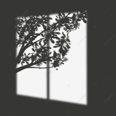 Shadow Window, Planning 2024, Shadow Png, Window Silhouette, Shadow Tree, Dark Window, Tree Shadow, Window Shadow, Shadow Painting