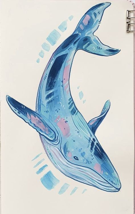 Whale Colored Pencil, Orca Watercolor Painting, Whale Sharks Drawing, Mythical Sea Creatures Drawing, Water Animal Drawing, Whale Front View, Gouache Whale, Orca Whale Drawing, Aquatic Animals Drawing