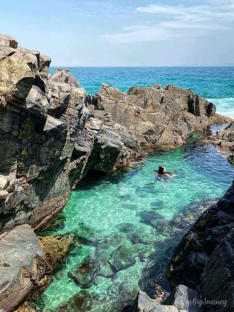 Noosa Fairy Pools, Fairy Pools, Vacation Inspiration, Fish Swimming, Rock Pools, Natural Rock, Come And Go, Marine Life, The Rock