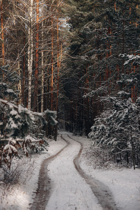 There are many benefits to walking and an adventure in the great outdoors can be endlessly stimulating. From reducing stress to improving sleep and even energy levels, a little strolls goes a long way to making us feel a whole lot better in life. ⁣
Tell us about your favourite walk? Snowy Forest Wallpaper, Winter Plants, Snowy Forest, Mystical Forest, Winter's Tale, Winter Wallpaper, Forest Wallpaper, Winter Scenery, Winter Aesthetic