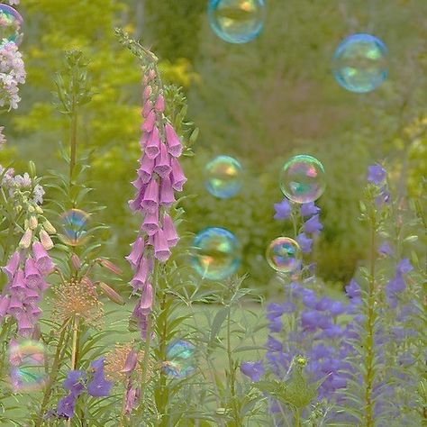 Bubbles And Flowers Aesthetic, Txt Fairy Of Shampoo Aesthetic, Wonder Land Aesthetic, Magical Garden Aesthetic, Bubblegrunge Aesthetic, Fairy Land Aesthetic, Fairy Of Shampoo Aesthetic, Fairyland Aesthetic, Fairy Magic Aesthetic