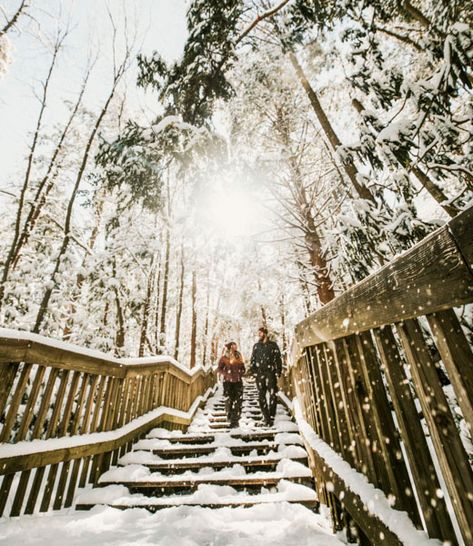 9 West Virginia resorts perfect for a winter family getaway Blackwater Falls State Park, Blackwater Falls, Allegheny Mountains, New River Gorge, Atv Tour, Downhill Skiing, Winter Family, Family Resorts, Family Getaways