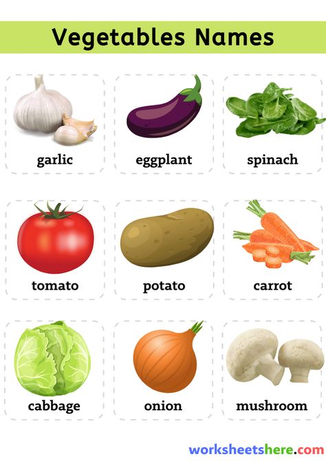 Vegetables Names With Pictures, Ash Gourd, Vegetable Coloring Pages, Names List, Raw Mango, Bitter Gourd, Collard Greens, Red Cabbage, Spring Onion