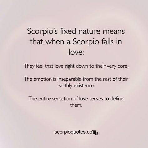 Relationship with a Scorpio: Part 1 | Scorpio Quotes Scorpio In Love, About Scorpio, All About Scorpio, Zodiac Quotes Scorpio, Astrology Scorpio, Scorpio Traits, Pisces And Scorpio, Leo And Scorpio, Scorpio Love