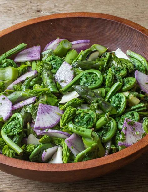 Eat Beautiful Recipes, Forage Food Recipes, Wild Fennel Recipes, How To Cook Fennel Recipes, Witch Foods, Foraging Recipes Uk, Chemistry Kitchen, Spring Vegetable Salad, Forager Chef