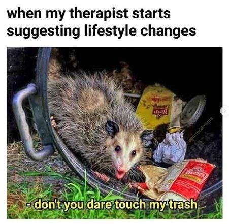 Therapy Humor, Awesome Possum, My Therapist, Meme Page, Trash Panda, Morning Humor, Can't Stop Laughing, Funniest Memes, Animal Memes