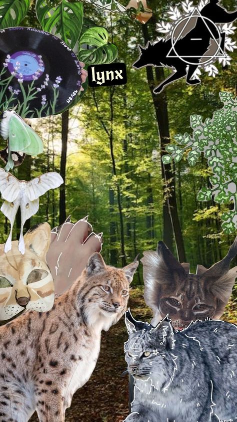 phone wallpaper therian lynx 🍃 #therian #therianthropy #lynx Lynx Therian, Art Aesthetic, Lynx, Cute Wallpapers, Phone Wallpaper, Wallpapers, Pins, Art