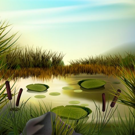 Free vector realistic world wetlands day... | Free Vector #Freepik #freevector Wetlands Drawing, Wetland Drawing, Wetlands Illustration, Wetland Illustration, Wetland Diorama, Bird Mural, World Wetlands Day, Animal Conservation, Day Illustration