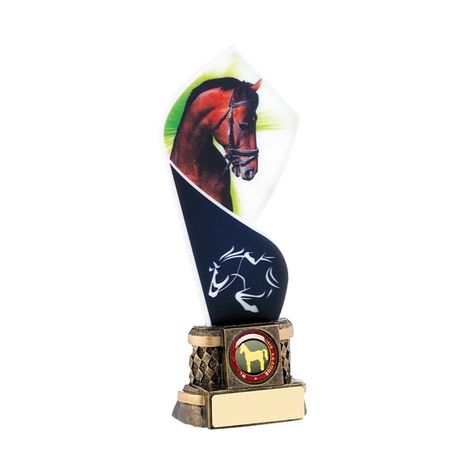 Acrylic Horse Award on Stand Sports Trophies, Trophies And Medals, Trophy Design, Equestrian, Laser Cut, Skateboard, Free Delivery, Horses, Sports