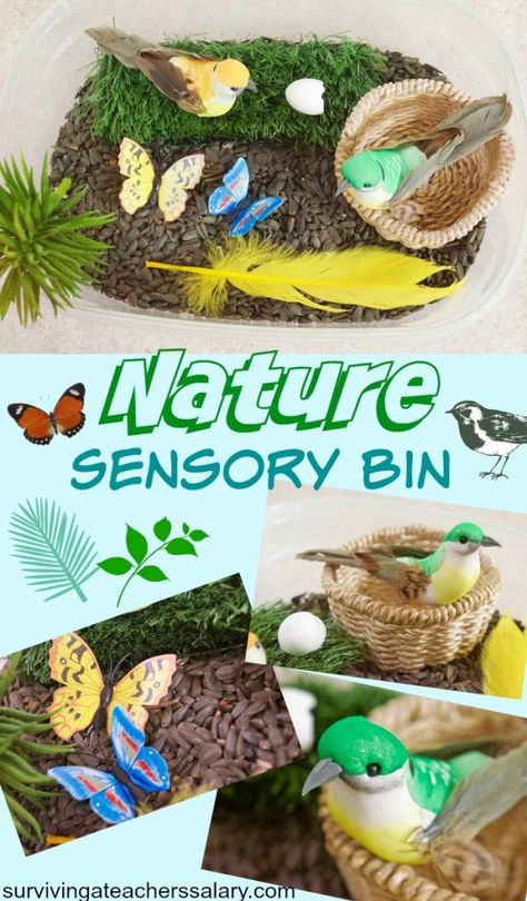 I LOVE this preschool nature sensory bin idea for kids! It has faux birds from the dollar store, butterflies, fake grass, and filled with birdseed! And she even found a small bird egg outside that she put in there! #sensory  #sensorybin #kids #nature #preschool #play Nature Sensory Bin, Sensory Bin For Preschoolers, Sensory Projects, Nature Preschool, Toddler Sensory Bins, Preschool Sensory, Butterflies Nature, Baby Parenting, Decodable Books