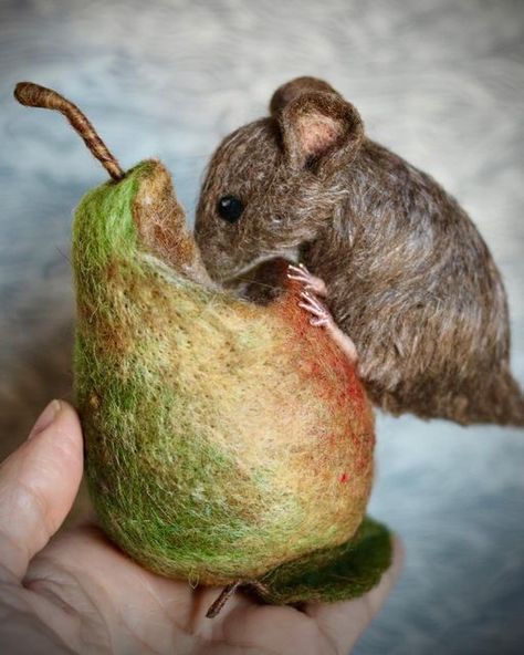 Heather Burke on Instagram: "Felted mouse and pear." Needle Felting On Clothes, Mouse Reference, Mouse Eating, Wool Felting Animals, Felted Mice, Felted Toys, Needle Felted Mouse, Felting Needles, Felted Crochet