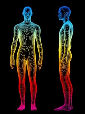 What is Specific Absorption Rate (SAR)? Body Scan, Body Map, Human Body Systems, Health Screening, Body Scanning, Thermal Imaging, Health Quotes Motivation, Body Systems, The Human Body