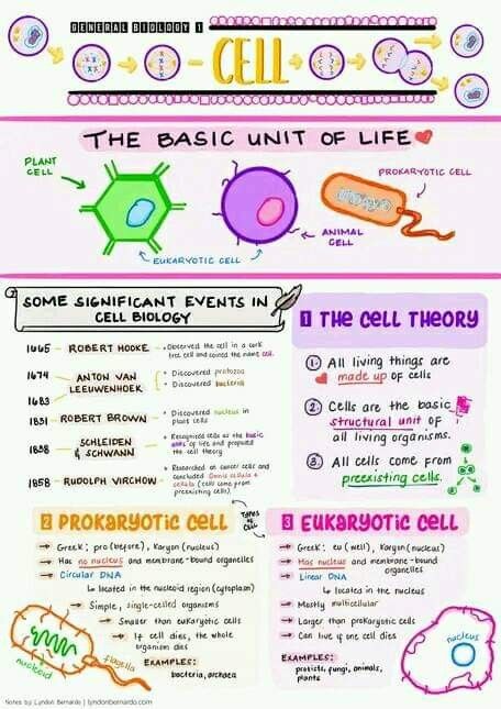 Grade 11 Stem Subjects, Cell Theory Project, Cell Theory Notes Biology, The Cell Theory, Micro Biology Notes, High School Biology Notes, Cell Notes Biology Class 9, Class 9 Science Notes Biology Tissue, Life Sciences Study Notes