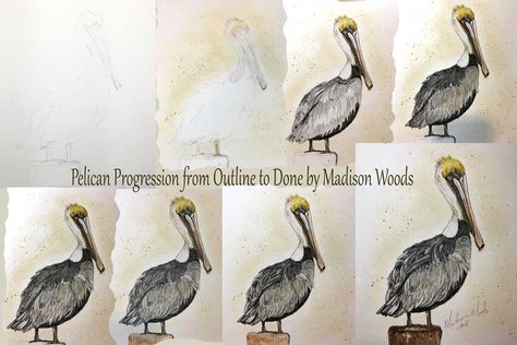 Pelican's Eye - The Challenge of Getting it Right | Wild Ozark Brown Pelican, Sisters Art, The Challenge, How To Paint, This Guy, The Eye, Art For Sale, Mixed Media, Paint