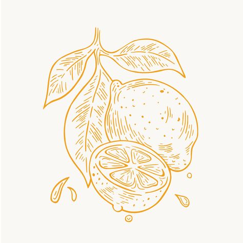 Lime Illustration Drawings, Lemon Line Art, Wood Cut Tattoo Style, Lemon Illustration Design, Lemon Art Illustration, Lemon Line Drawing, Line Art Fruit, Lemons Illustration, Lemon Sketch