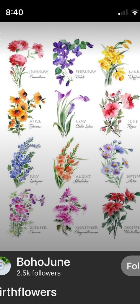 Birth Flower Tattoo Sleeve Ideas, Colorful Birth Flower Tattoo, Color Birth Flower Tattoo, Flower Garden Tattoo, Cj Tattoo, June Flower Tattoo, Watercolor Flower Tattoo, Friendship Tattoo, Flower Bouquet Tattoo