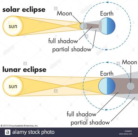 Lunar Eclipse Vs Solar Eclipse Diagram Lunar Eclipse Diagram, Solar System Science Project, Solar Eclipse Images, Solar Eclipse Facts, Solar Eclipse Activity, Sixth Grade Science, Solar And Lunar Eclipse, Science Vocabulary, Science Notebooks