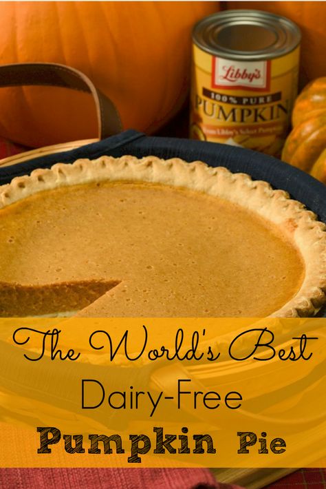 Dairy Free Thanksgiving, Dairy Free Pumpkin Pie, Paleo Pumpkin Pie, Dairy Free Pumpkin, Pumpkin Pie Recipe, Lactose Free Diet, Gluten Free Dairy Free Recipes, Easy Homemade Recipes, Dairy Free Dessert