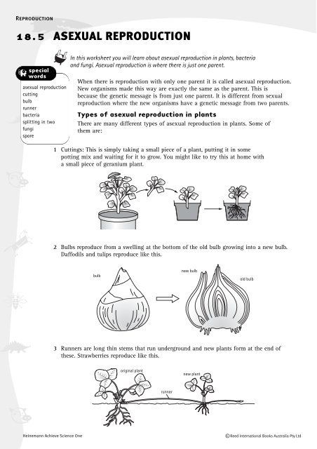 Worksheet: Asexual reproduction Asexual Plants, Asexual Reproduction In Plants, Reproduction In Plants, Types Of Asexual Reproduction, Plant Reproduction, Asexual Reproduction, Plants Worksheets, Text To Text Connections, Plant Notes