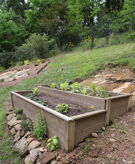 raisebedrightside Raised Garden Beds Built Into Hill, Raised Bed Terrace Garden, Garden Boxes On A Hill, Terrace Garden Beds, Hillside Garden Beds, Terraced Raised Garden Beds, Hillside Planter Boxes, Raised Garden Beds On A Slope, Hillside Gardening