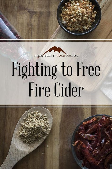 Fire Cider Goes to Court: Fighting for Folk Herbalism Mountain Rose Herbs Recipes, Folk Herbalism, Four Thieves Vinegar, Herbs Recipes, Fire Cider Recipe, Rosemary Gladstar, Recipes Tutorials, Fire Cider, Mountain Rose