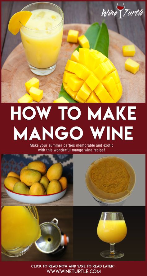 Wine Recipes Homemade, Tomato Wine Recipe, Lemon Wine Recipe, Home Made Alcohol, Easy Wine Recipes, Fruit Wine Recipes, Home Made Wine, Mango Wine, Wine Types