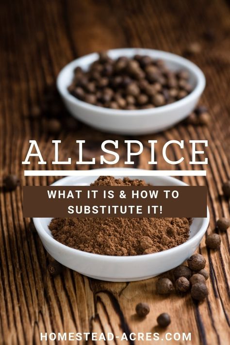 Do you know what allspice really is? Learn more about allspice, it’s benefits and how to make your own allspice substitute for baking if you ran out. What Is Allspice Made Of, Allspice Substitute, Jerk Seasoning Recipe, Spice Combinations, Diy Mixes, Spice Blends Recipes, Scratch Recipes, Spice Mix Recipes, Seasoning And Spice