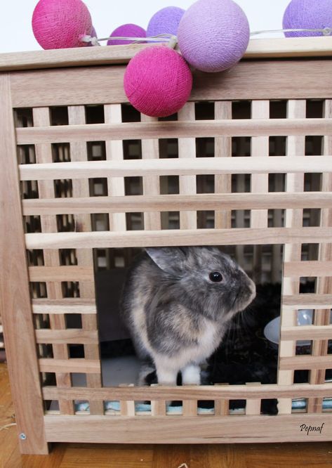 Comment détourner un meuble Ikea en maison pour lapin ? - Pepnaf Ikea Hol Rabbit, Ikea Bunny Hack, Bunny House Diy, Diy Pour Lapin, Ikea Hol, Indoor Rabbit Cage, Rabbit Stuff, Kallax Hack, Indoor Rabbit