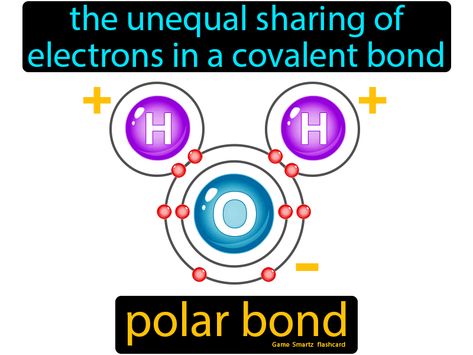 Polar Bond definition: The unequal sharing of electrons in a covalent bond. Ela Foldables, Chemistry Facts, Covalent Bonds, Chemical Bonds, Chemical Bonding, General Knowledge For Kids, General Chemistry, Ap Chemistry, Chemistry Set