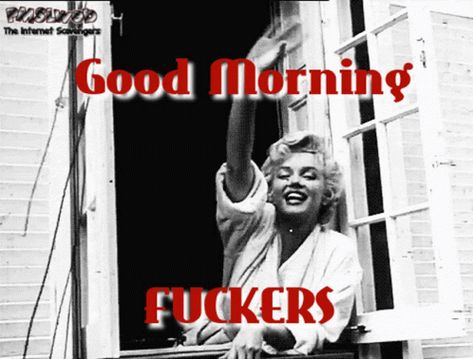 Sarcastic Good Morning Quotes Hilarious, Sarcastic Good Morning, Sarcastic Gif, Work Sarcasm, Sarcastic Ecards, Sarcastic Memes, Morning Memes, Morning Quotes Images, Funny Good Morning Quotes