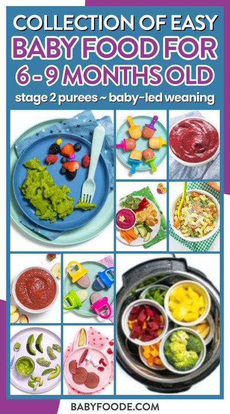 baby food in ramekins in an instant pot, green scrambles eggs, red puree, pink puree, pasta, popsicles and pancakes are featured here Food For 10 Month Old, Baby Food Stages, Best First Foods For Baby, Best Finger Foods, Instant Pot Baby Food, First Foods For Baby, Easy Baby Food, Recipes For Baby, Foods For Baby