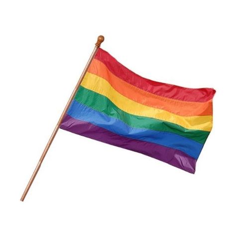 Gay Rainbow Sisters 18"x12" Rainbow Pride Flag ($7.44) ❤ liked on Polyvore featuring home, outdoors, outdoor decor, fillers, accessories, misc, random, garden decor, outdoor patio decor and outdoor garden decor Wooden Flag Pole, Rainbow Pride Flag, Moodboard Pngs, Gay Flag, Rainbow Flag Pride, Lgbt Flag, Png Aesthetic, Outdoor Garden Decor, Rainbow Flag