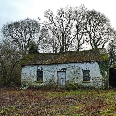 @nicholas.keeble on Instagram: “Original, unmodernised crog loft cottages are becoming rare in South Wales. This one dating from c.1850 is Abergavenny Cottage. It was…” Crog Loft, Reflective Practice, Artist Life, South Wales, Great Britain, Wales, Loft, Cottage, House Styles