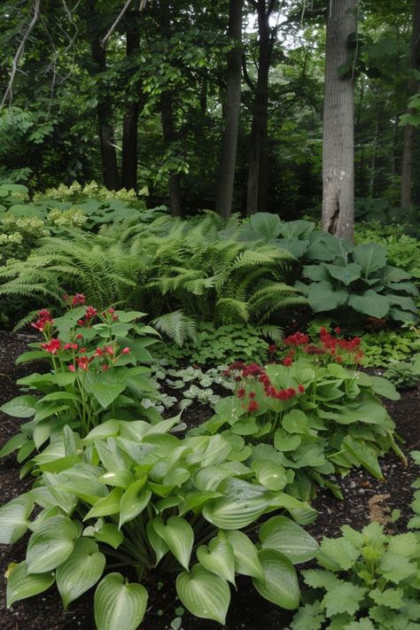 If you have a shady front or back yard, then try these 15 flowering and non-flowering plants to spruce up your garden. Pnw Landscaping, Shade Landscaping, Autumn Fern, Japanese Painted Fern, Plants Under Trees, Shade Loving Perennials, Shade Garden Plants, Woodland Plants, Lenten Rose