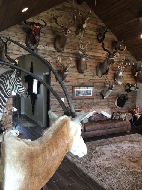 Deer Trophy Wall, Deer Trophy Room, Hunting Trophy Display Ideas, Hunters Cabin Interior, Taxidermy Interior Design, Taxidermy Room Ideas, Trophy Room Hunting Man Caves, Man Cave Hunting Room, Taxidermy Display Ideas